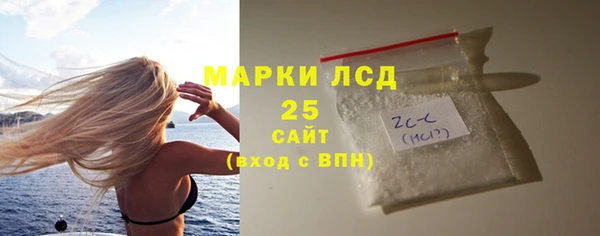 мяу мяу мука Аркадак
