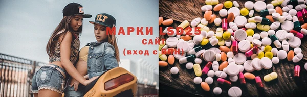мяу мяу мука Аркадак