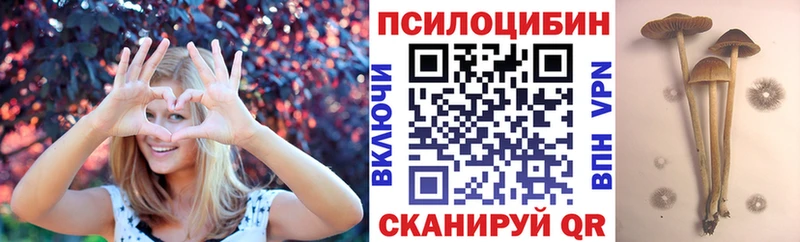 Псилоцибиновые грибы Psilocybine cubensis  купить   Североморск 